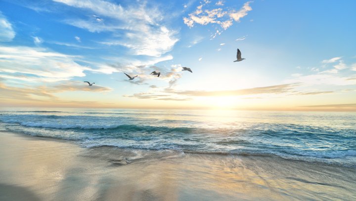 Strand, ferie og sommer