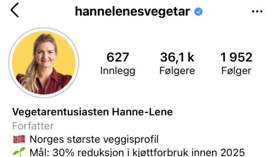 Skjermdump av Hanne-Lene Dahlgrens Instagram-profil.