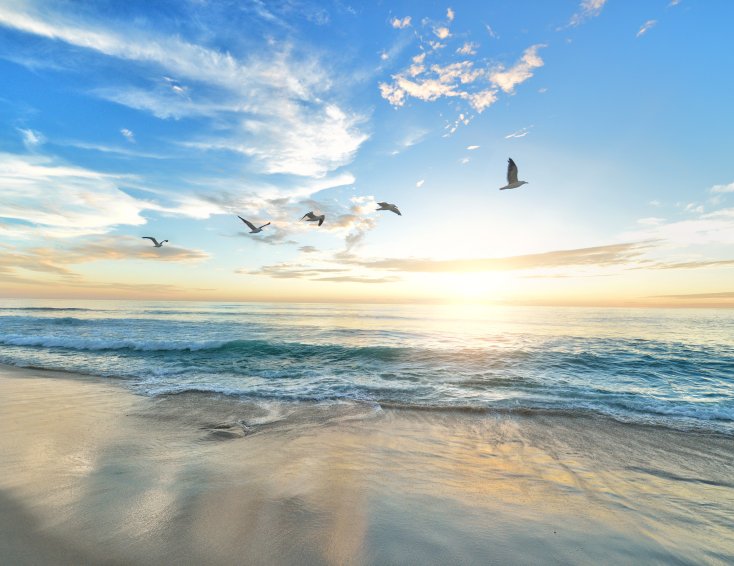 Strand, ferie og sommer