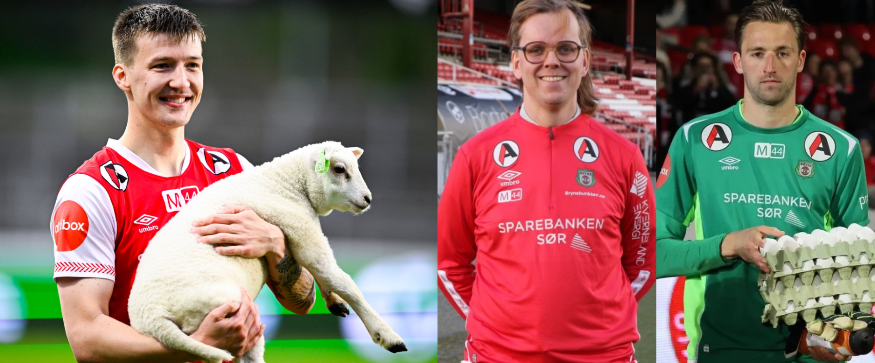 Illustrasjonsbilder. Fotballspillere med lam og eggekartonger.