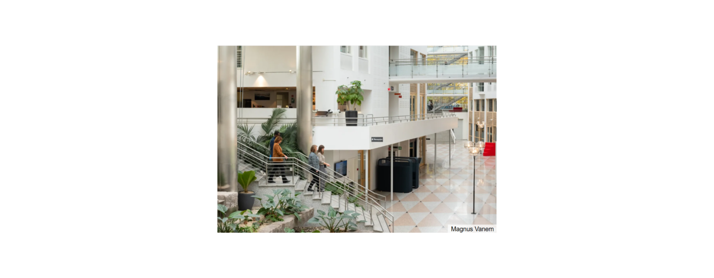 Illustrajonsbilde Forskningsrådet. Foto: Magnus Vanem