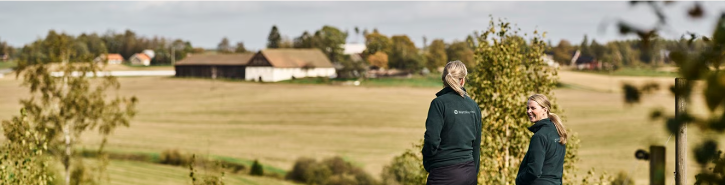 Illustrasjonsbilde Mattilsynet