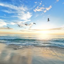 Strand, ferie og sommer