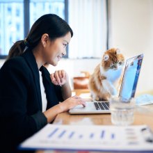 Illustrasjonsfoto Kommunikasjonsdagene. Bildet viser en asiatisk kvinne som sitter på hjemmekontor. Hun har en katt som sitter ved siden av henne, og begge ser inn i en PC-skjerm.